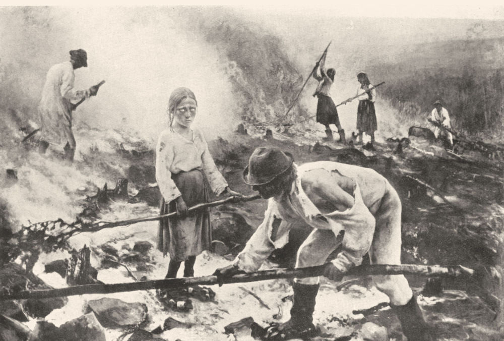 FINLAND. Burning the Forest 1908 old antique vintage print picture